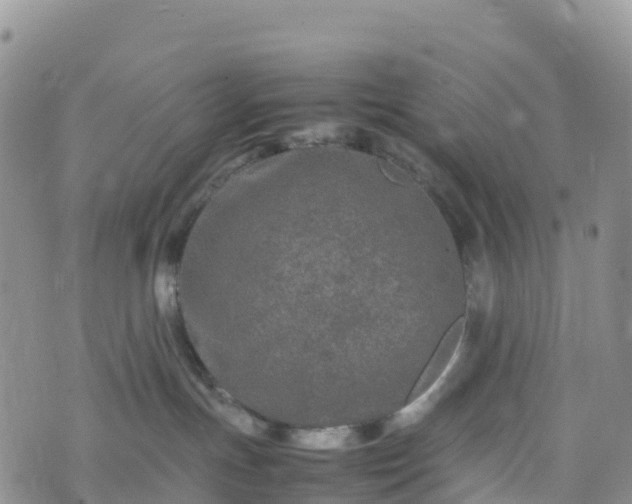 X0000074290191200609011416