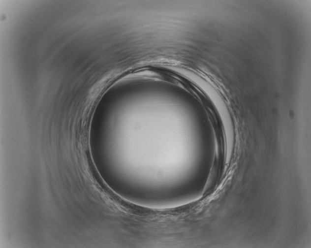 X0000074290193200609011415