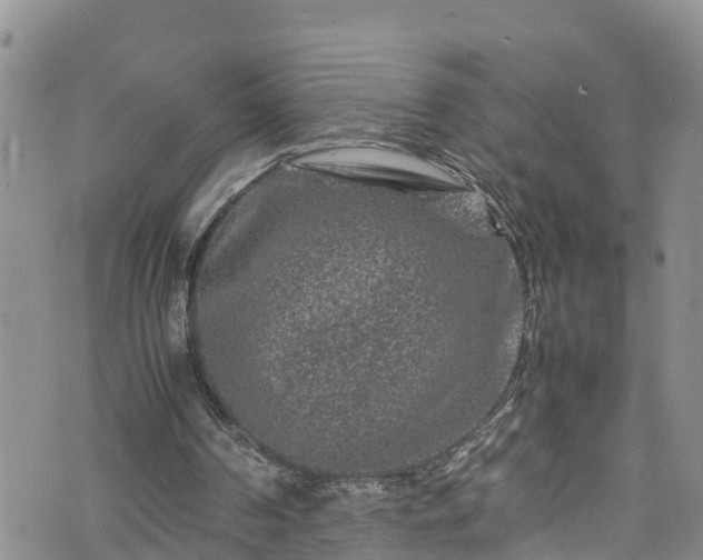 X0000074290194200609011415