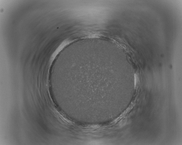 X0000074290195200609011415