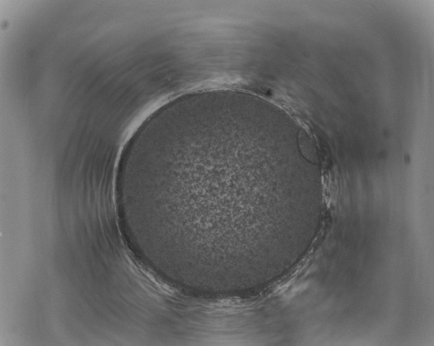 X0000074290196200609011415