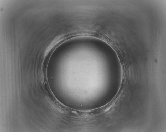 X0000074290198200609011415