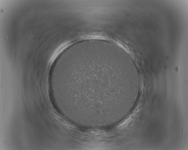 X0000074290199200609011415