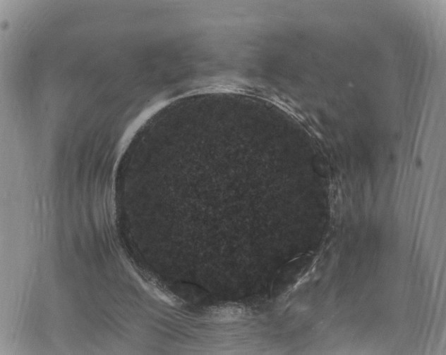 X0000074290200200609011415