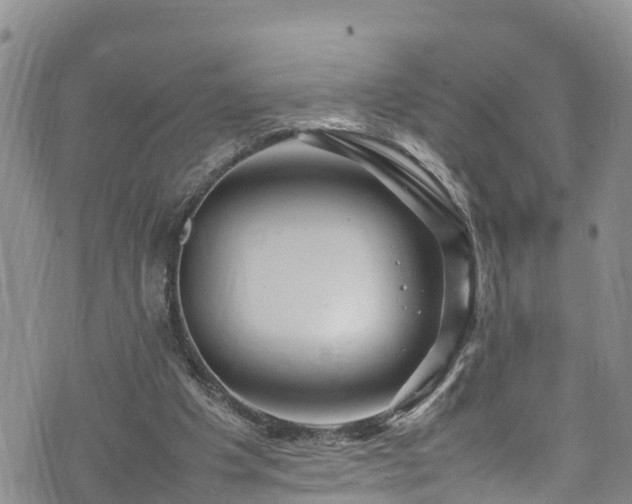 X0000074290201200609011415