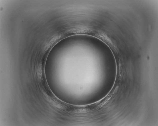 X0000074290202200609011415