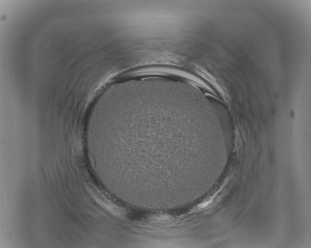 X0000074290203200609011415