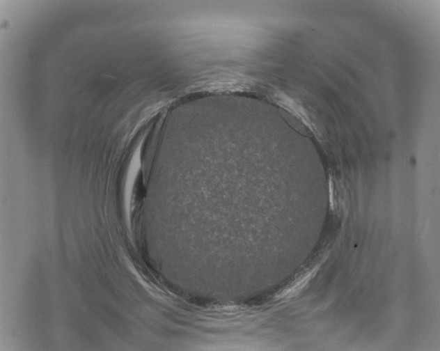 X0000074290205200609011415