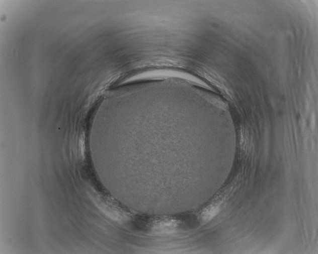 X0000074290206200609011415