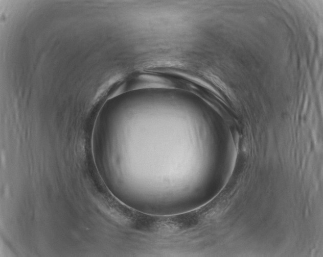 X0000074290207200609011415