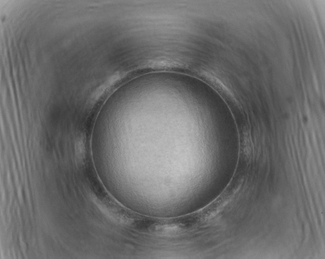 X0000074290208200609011415