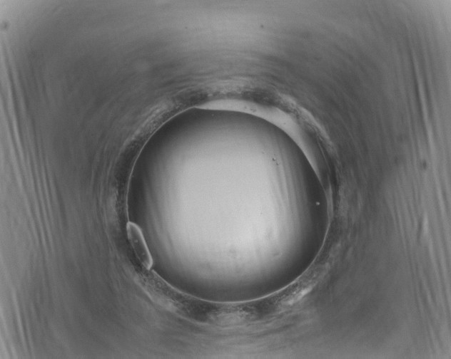 X0000074290209200609011415