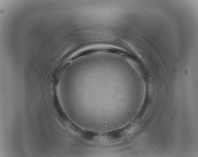 X0000074290211200609011415