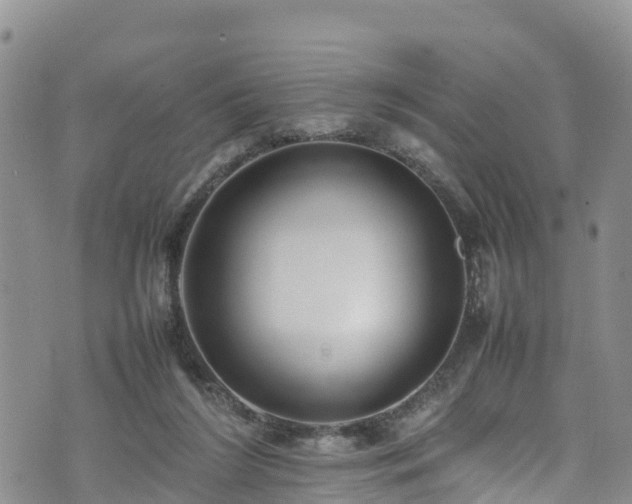 X0000074290212200609011415