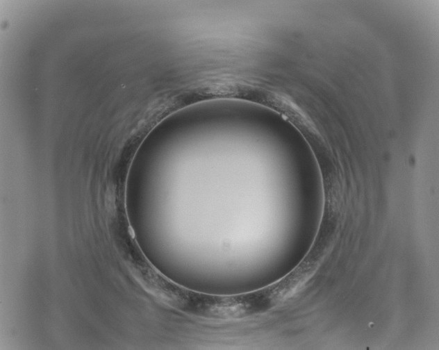 X0000074290213200609011415