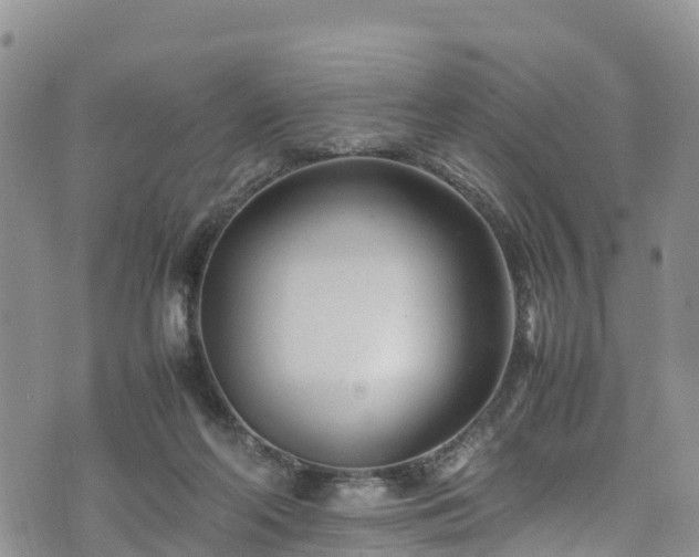 X0000074290214200609011415