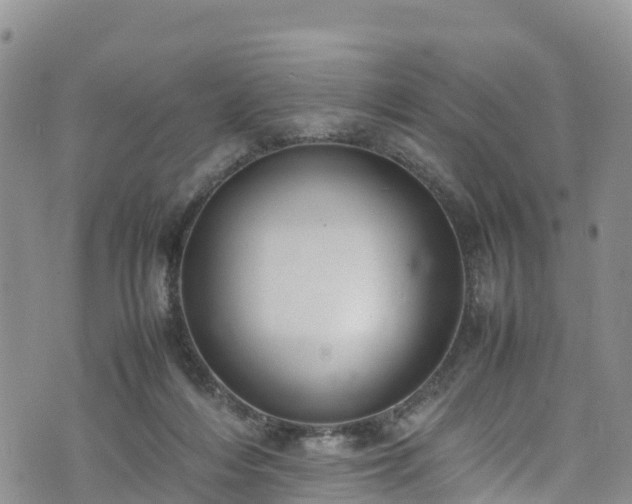 X0000074290216200609011415