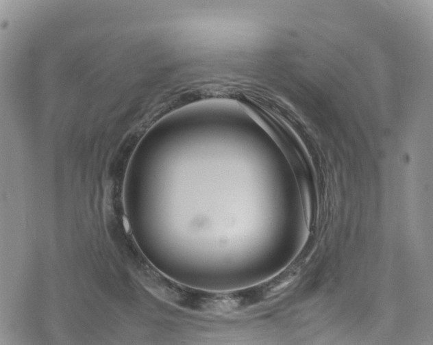 X0000074290217200609011415