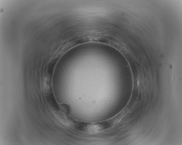 X0000074290218200609011415