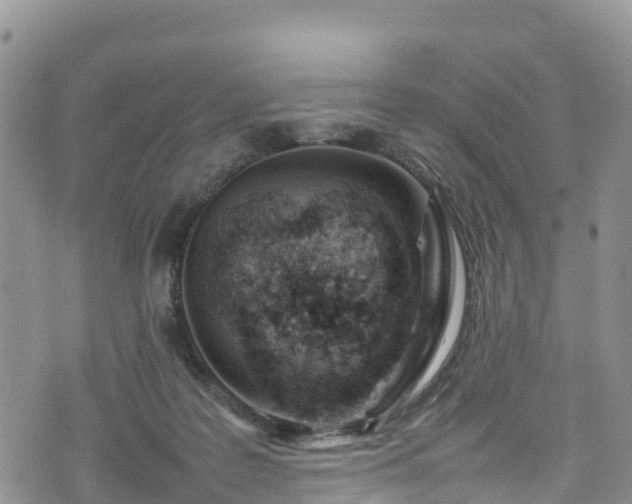 X0000074290219200609011415