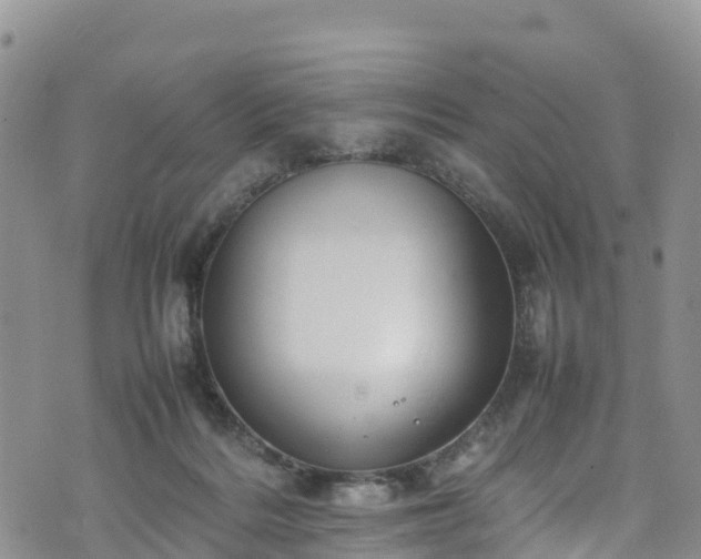 X0000074290220200609011415