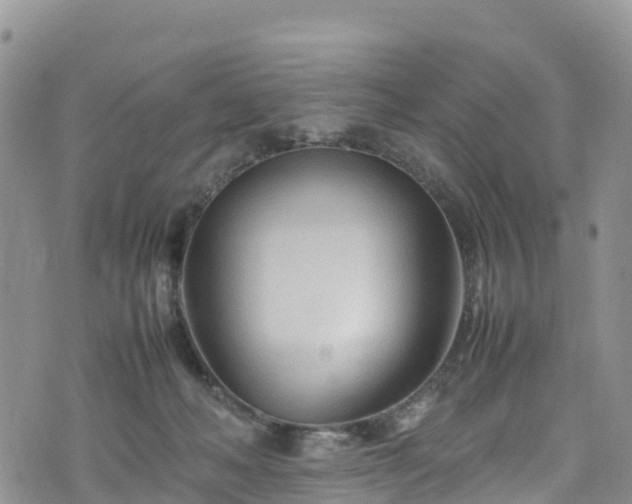 X0000074290222200609011415