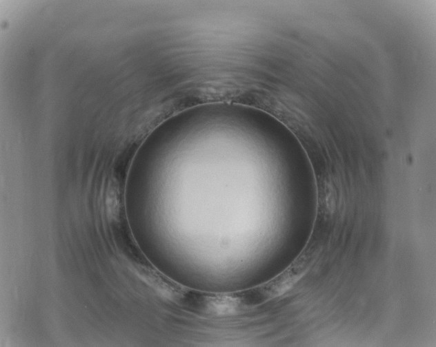 X0000074290226200609011415