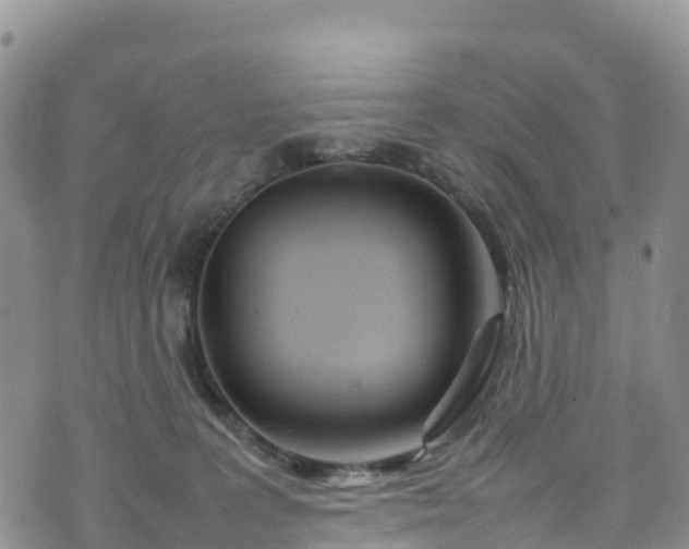 X0000074290227200609011415