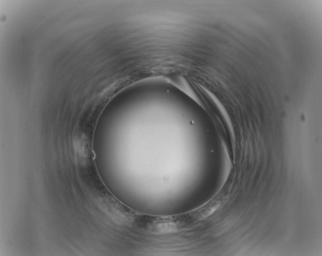 X0000074290228200609011415