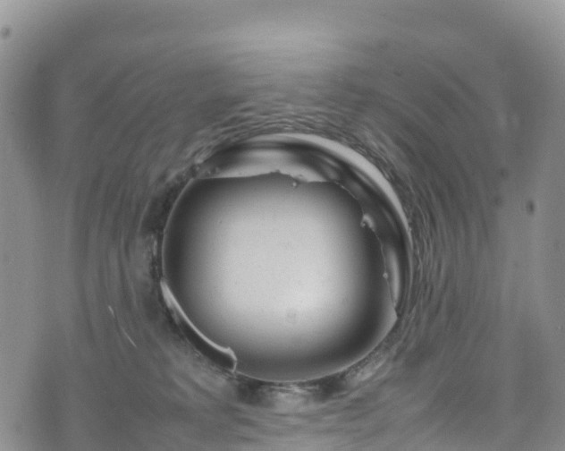 X0000074290229200609011415