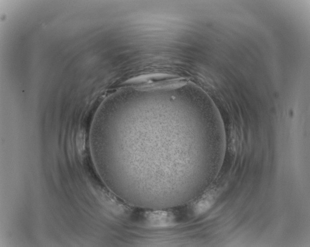 X0000074290230200609011415