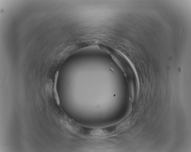 X0000074290231200609011415