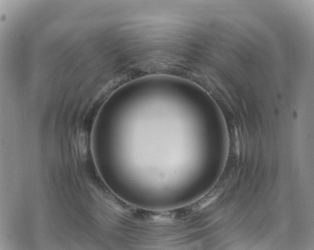 X0000074290232200609011415