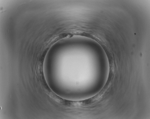 X0000074290233200609011415