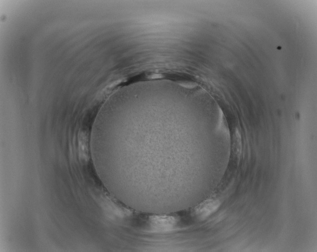 X0000074290234200609011415