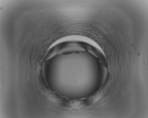 X0000074290235200609011415