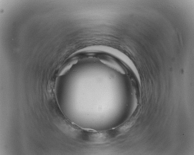 X0000074290237200609011415