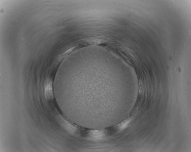 X0000074290238200609011415