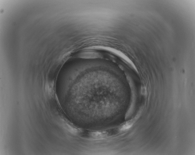 X0000074290239200609011415