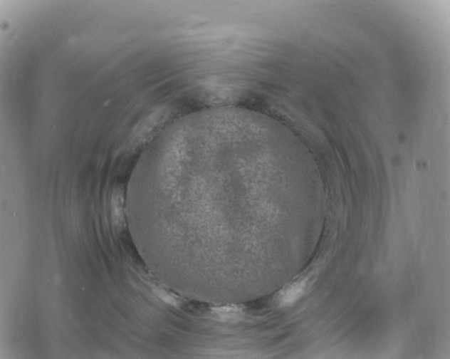 X0000074290240200609011415