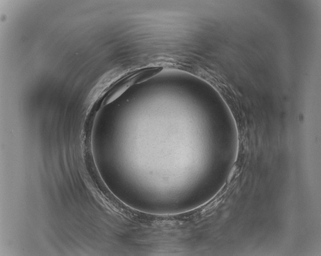 X0000074290242200609011414