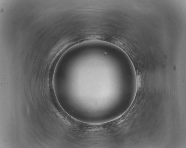 X0000074290243200609011414