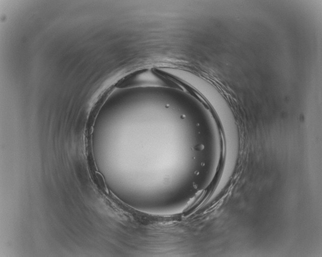 X0000074290244200609011414