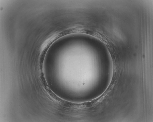 X0000074290245200609011414