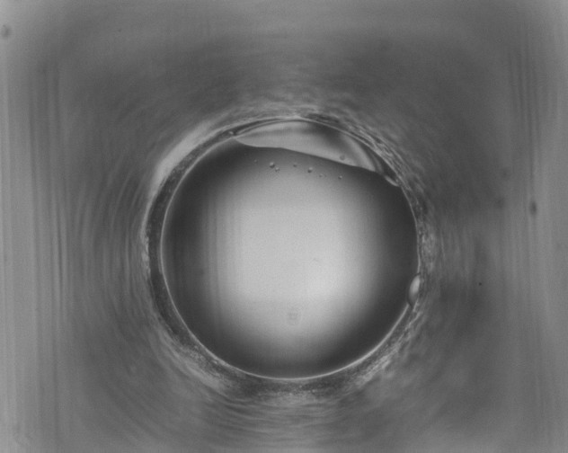 X0000074290246200609011414