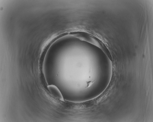 X0000074290248200609011414