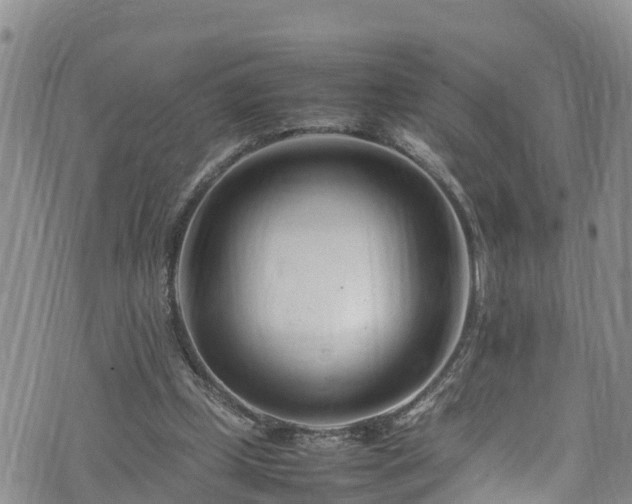 X0000074290249200609011414