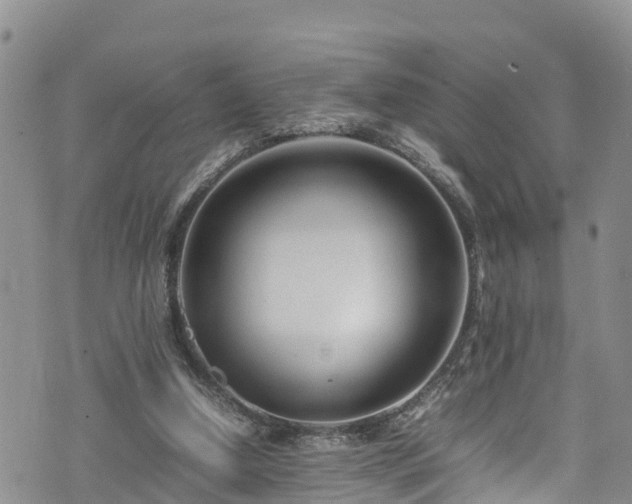 X0000074290250200609011414