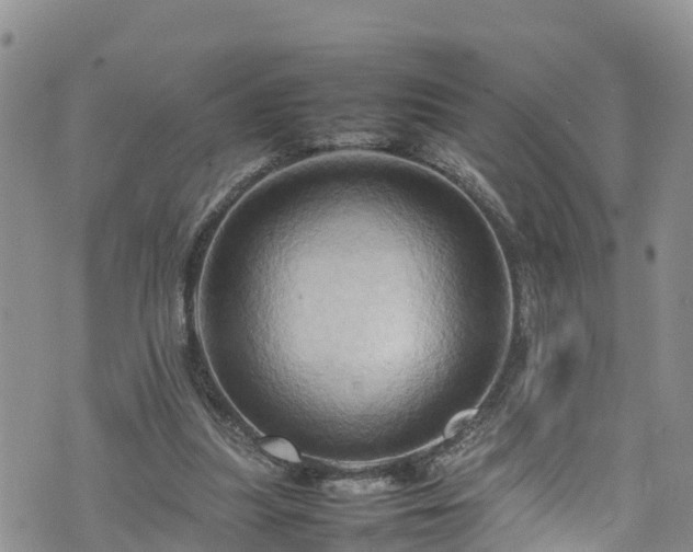 X0000074290251200609011414