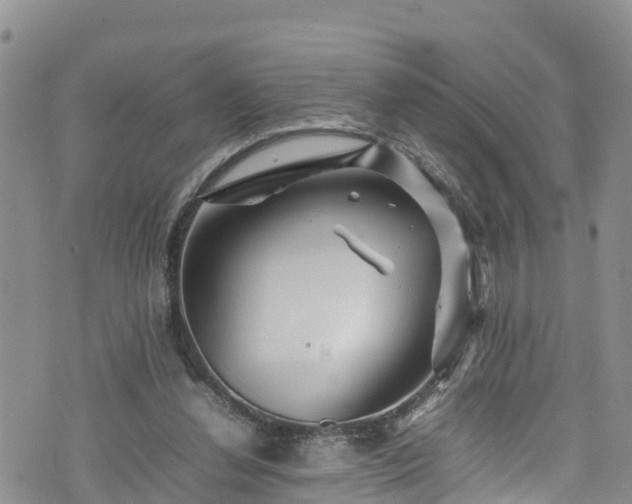 X0000074290252200609011414